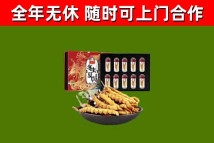 兴安县回收冬虫夏草价格